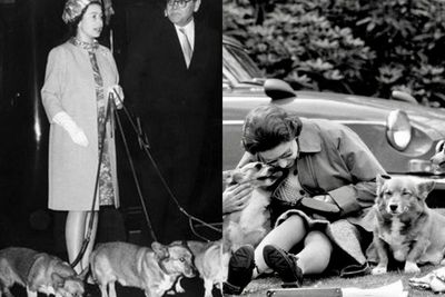 Kisah Kecintaan Ratu Elizabeth II kepada Anjing Corgi, Bermula dari Hadiah Kecil sang Ayah
