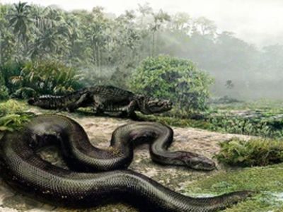 Rupanya Ular Zaman Dulu Ada yang Pernah Makan Bayi Dinosaurus, Ular Apa Ya?