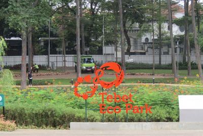 Catat! Tebet Eco Park Sudah Buka Tapi Ada Syaratnya, Siapkan Ini Biar Gak Kecewa