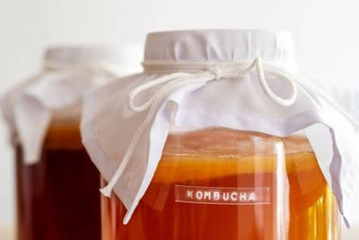 Lagi Ngetrend, Benarkah Teh Fermentasi Kombucha Bisa Bikin Tubuh Langsing dan Sehat?