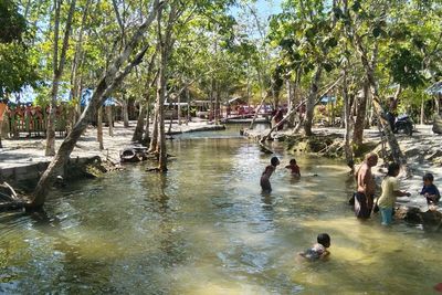 Wah! Ada Sungai Berwarna Hijau di Kampar Tapi Airnya Sangat Jernih, Kok Bisa Gitu, ya?