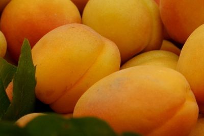 Mengandung Racun Sianida, Buah Ini Justru Punya Banyak Khasiat Buat Ibu Hamil, Kok Bisa?