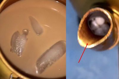 Bikin Es Kopi di Dalam Teko, Pria Ini Batal Minum Gegara Ada Telur Cicaknya: Kayak Sukro!