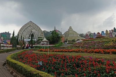 Kota Batu Punya Taman Bunga Cantik Mengagumkan, Terhampar Luas Mirip di Eropa