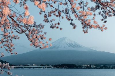 Asik! Mulai 11 Oktober Jepang Izinkan Wisatawan Masuk Bebas Visa