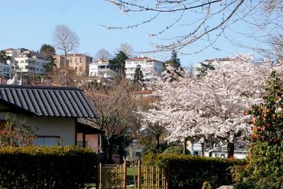 Ada Taman Jepang di Tengah Kota Istanbul, Vibe-nya Mirip dengan Negeri Matahari Terbit