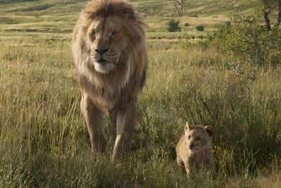 Sutradara Sebut Mufasa: The Lion King Bukan Sekadar Prekuel Biasa, Lantas Apa?