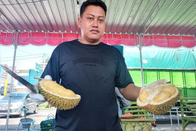 Mantap! Cuma Rp15 Ribu Per Buah, Garansi Makan Durian Gratis Kalau Enggak Manis