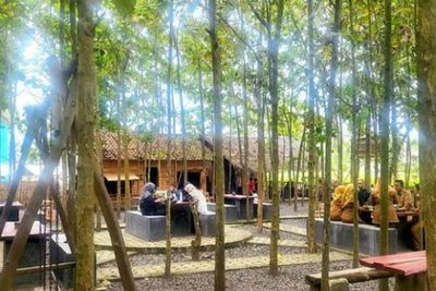 Adem Bener! Sensasi Wisata di Tengah Pohon Jati Cilegon Sambil Healing