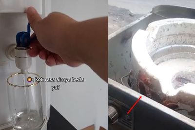 Oh No! Wanita Ini Temukan Banyak Kecoa di dalam Dispenser Air: Auto Merinding Disko
