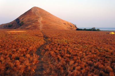 Eksotisnya Pulau Kenawa, Punya Padang Savana yang Keindahannya Memukau Turis Dunia