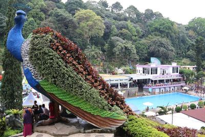 Tempat Wisata Ini Terlarang bagi Pribumi, Hingga Sempat Dibumihanguskan: Begini Kisahnya