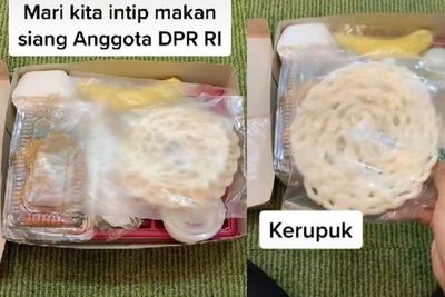 Viral, Wanita Spill Nasi Kotak Makan Siang Anggota DPR RI saat Rapat, Apa Aja Isinya?