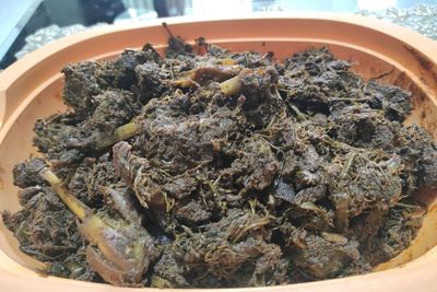 Seperti Rendang, Ini Resep Pangek Paki Masakan Khas Minang yang Dimasak 3 Jam Lamanya