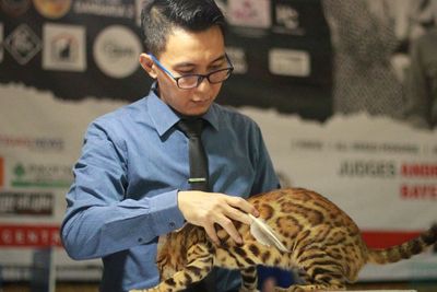 Salah Satu Kucing Termahal di Dunia Menang Kontes di Parepare, Berapa Harganya?