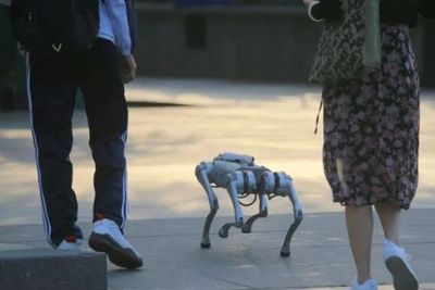 Warga China Punya Tren Baru: Ajak Robot Anjing Jalan-jalan