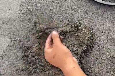 Gokil! Pria Ini Temukan Harta Karun Cincin di Tumpukan Pasir Pantai Keramas