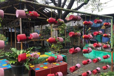 Dulunya Kumuh dan Langganan Banjir, Kampung Ini Sekarang Dipenuhi Buah Markisa