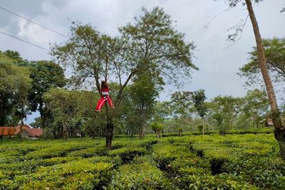 4 Hal Menarik di Kebun Teh Wonosari Malang, Tempat Wisata Sejuk Gak Menguras Kantong
