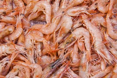 6 Makanan Tinggi Protein yang Rendah Lemak, Cocok untuk Diet!