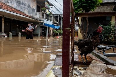 Jakarta Banjir! 116 Pengungsi Mulai Dievakuasi