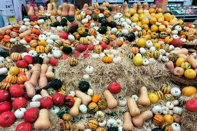 Uniknya! Panen Raya Labu di Turki, Ada yang Berbentuk Biola dan Seukuran Kepalan Tangan