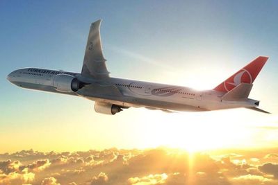 Fakta-fakta Penumpang Turkish Airlines yang Pukul Kru Pesawat
