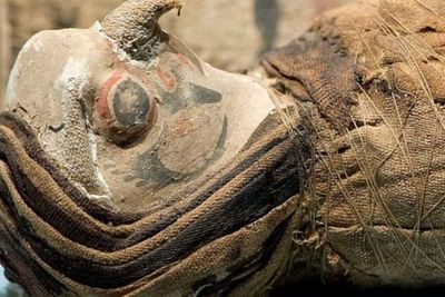 Penemuan Mumi Elang Tanpa Kepala di Mesir, Diduga Pernah Jadi Bahan Ritual Kuno Romawi