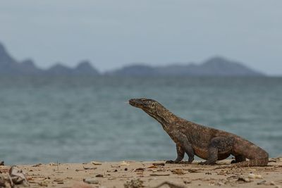 6 Destinasi Wisata Indonesia Rekomendasi Menparekraf, Salah Satu Lokasinya di Pulau Jawa