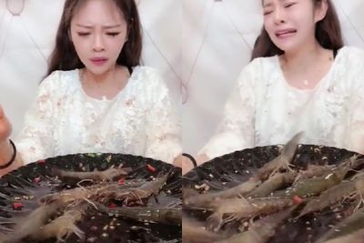Niat Mukbang Seafood Hidup, Cewek Ini Ujung-ujungnya Kena Apes: Udangnya Loncat