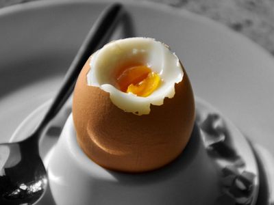 6 Makanan Sehat untuk Ibu Hamil Muda Trimester Pertama, Enak!
