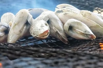 Unik Banget! Kuliner Lokal Khas Riau Ini Ternyata dari Lumpur!