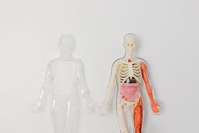 Lebih dari Separuh Tubuh Kita Itu Sebenarnya Dihuni Makhluk Ini, Hantu?