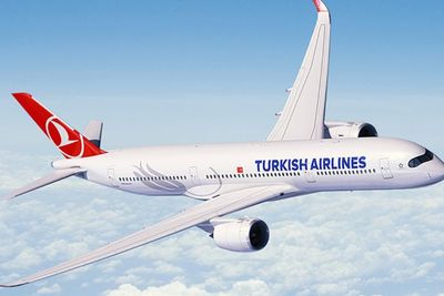 Bantah Mabuk, Penumpang Turkish Airlines Sebut Anjing Jadi Pemicu Keributan