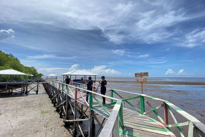 Menyusuri Indahnya Hutan Mangrove Luppung, Spot Berburu Sunset Favorit di Bulukumba