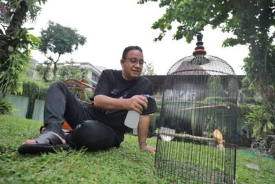 Kegiatan Anies Usai Tak Jadi Gubernur DKI: Main Burung hingga Jalan Kaki Bareng Istri