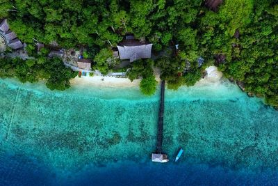 Melihat Keindahan Pulau Emas, Harta Karun di Sumbar yang Dipenuhi Terumbu Karang