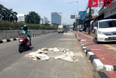 Ketua DPRD DKI Jakarta Nilai Sumur Resapan Bagus, Dulu Disebut Kolam Lele saat Era Anies