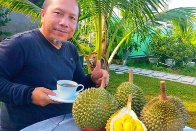 Petani Riau Sukses Budidaya Black Thorn, Durian Sultan yang Harganya Bikin Tercengang
