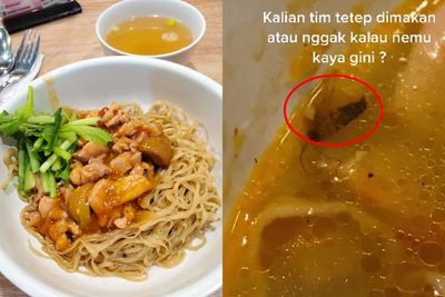 Duh! Beli Mie Ayam di Resto Ternama, Cewek Ini Nemu Kecoa di Mangkuknya: Dimakan Nggak Ya?