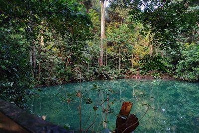 Misteri Telaga Buret Tulungagung, Konon Ada Ikan Lele Tanpa Daging Bisa Hidup di Sini!