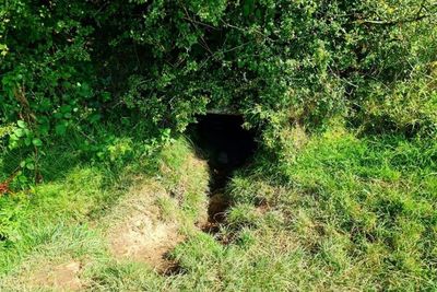 Disebut Sebagai Gerbang ke Neraka , Gua Kuno di Irlandia Ini Selalu Ramai Pengunjung