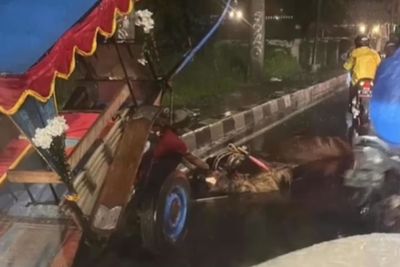 Sedih Banget, Kuda Penarik Delman Ini Mati usai Jatuh di Jalan karena Kelelahan