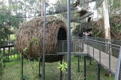 Unik Banget! Mencoba Kuliner di Dalam Sarang Burung Raksasa, Tertarik Berkunjung?
