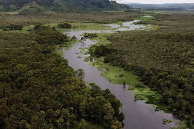 Aneh Banget! Ada Rawa Berada di Atas Ketinggian, View-nya Mirip Sungai Amazon