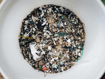 Yakin Darah di Dalam Tubuhmu Sudah Bersih? Ini Bahayanya Jika Ada Plastik di Darah Manusia