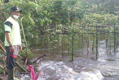 Viral Penampakan Jenazah Muncul dari Permakaman di Tulungagung Usai Tersapu Banjir