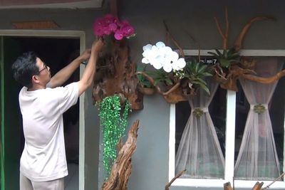 Wow! Pria Ini Ubah Kayu Gigitan Rayap jadi Benda Unik, Ide Hadiah untuk Pecinta Tanaman