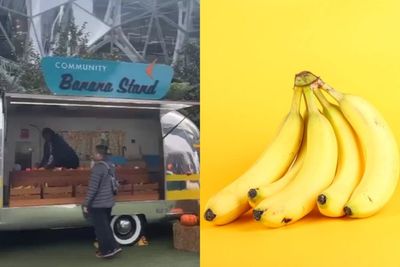 Tempat di Amerika Ini Sediakan Pisang Gratis Setiap Hari! Semua Orang Bisa Ambil Sepuasnya