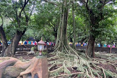 Dulunya Angker, Pohon Ini Jadi Keramat Karena Pernah Dipijak Pangeran Diponegoro!